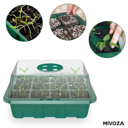 12-pod mini greenhouse with LED and air circulation